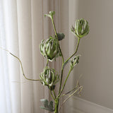 Green Three Head Dry Protea Flower