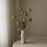 Green Three Head Dry Protea Flower