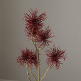 Dark Red Allium Fido Dido Flower