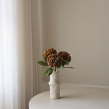 Faded Brown Hydrangea Flower