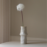 White Large Dandelion
