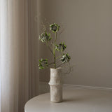 Green Five Head Dry Protea Flower