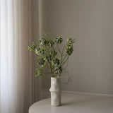 Green Five Head Dry Protea Flower