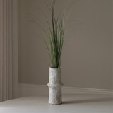 Green Ornamental Grass