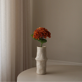 Brown Hydrangea Flower