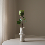 Green King Protea Flower