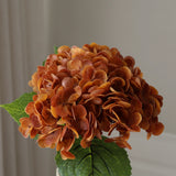 Brown Hydrangea Flower