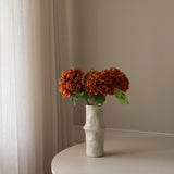 Brown Hydrangea Flower