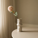 Beige Allium Azureum Bulb