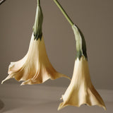 Beige Datura Stramonium Flower