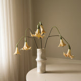 Beige Datura Stramonium Flower