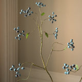 Blue Large Blueberry Branch