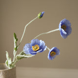 Blue Poppy Flower
