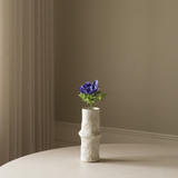 Blue Anemone Flower