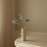 Blue Large Cosmo Daisy Flowers