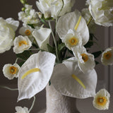 Bright White