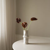 Brown Small Anthurium Flower
