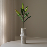 Unopened Lily Flower Bud