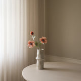 Champagne Anemone Flower