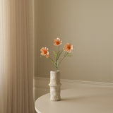 Champagne Cosmo Daisy Flower