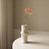 Coral Anthurium Flower