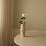 Cream Medium Stem Garden Rose