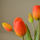 Orange Tulip Bouquet