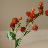 Dark Orange Echinops Ritro Thistle Ball