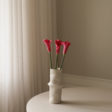 Dark Pink Calla Lily Flower