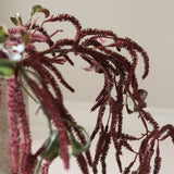 Dark Red Amaranthus Cruentus Flower