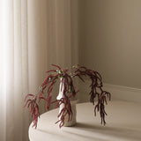 Dark Red Amaranthus Cruentus Flower