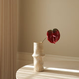 Dark Red Anthurium Flower
