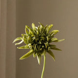 Green Cactus Dahlia Flower