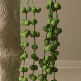 Green Coral Fountain Amaranthus Flower