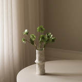 Green Hellebores Flower