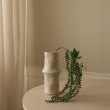 Amaranthus "Emerald Tassels" Flower