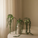 Amaranthus "Emerald Tassels" Flower