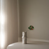 Green Anthurium Flower