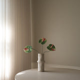 Green Anthurium Flower