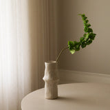 Green Bells of Ireland Flower