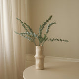 Green Eucalyptus Five Leaves