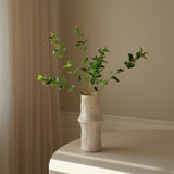 Green Eucalyptus Leaves