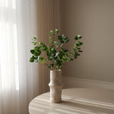 Green Eucalyptus Three Leaves