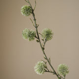 Green Thistle Ball Branch
