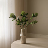 Green Skimmia Berry Branch