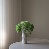 Hydrangea Grand Bouquet