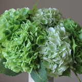 Hydrangea Grand Bouquet