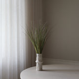 Light Green Ornamental Grass