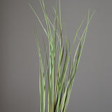 Light Green Ornamental Grass