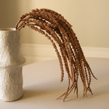 Light Brown Amaranthus Caudatus "Dreadlocks" Flower